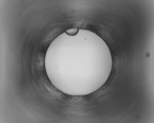X0000112391154200909101404
