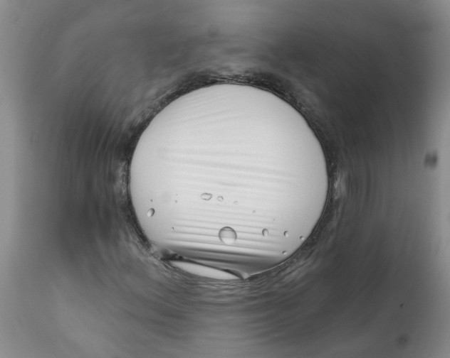 X0000112391156200909101404