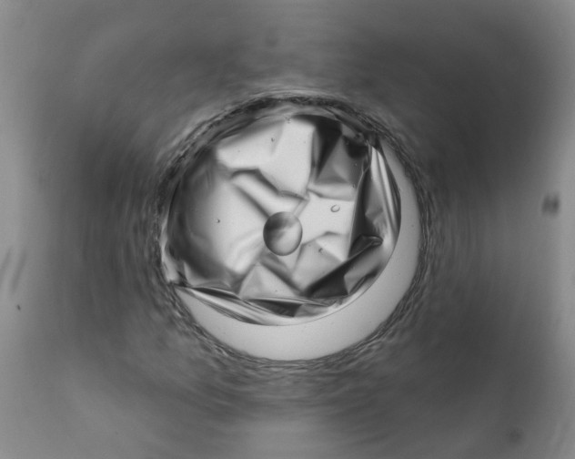 X0000112391157200909101404