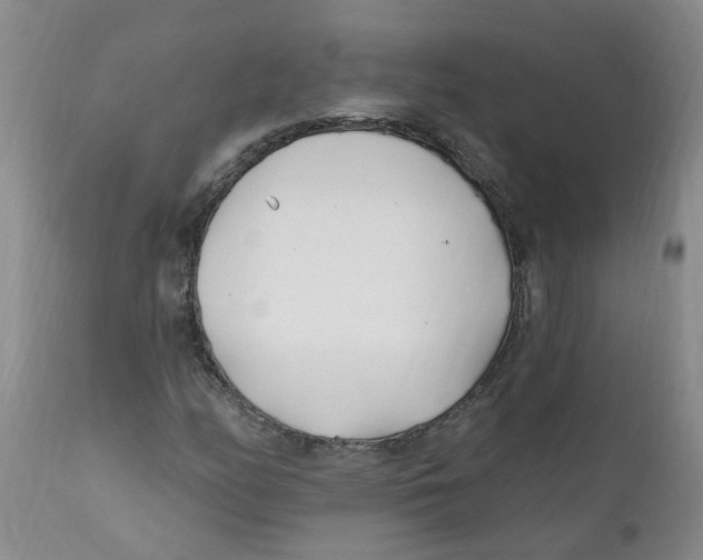 X0000112391158200909101404