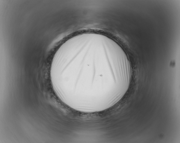 X0000112391159200909101404