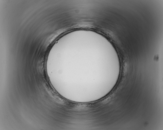 X0000112391162200909101404