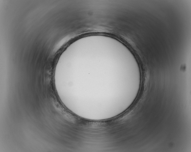 X0000112391163200909101404