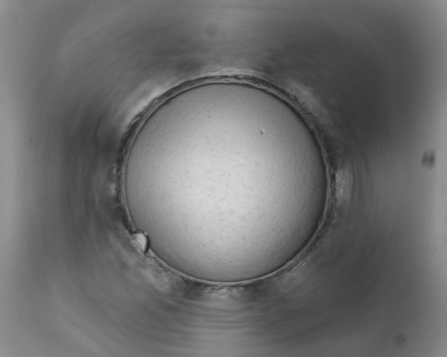 X0000112391165200909101404