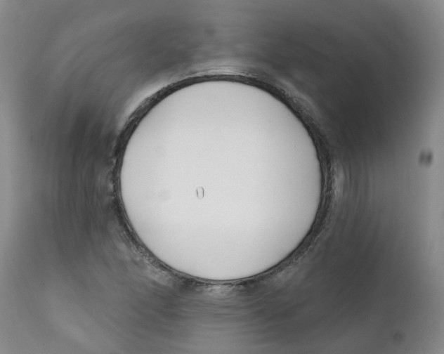 X0000112391166200909101404