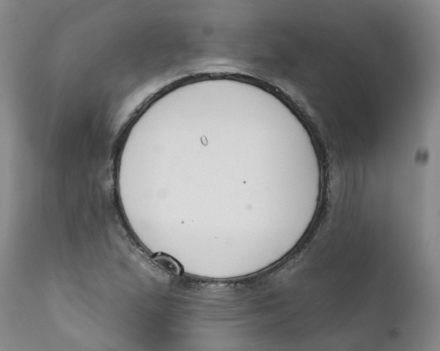 X0000112391167200909101404