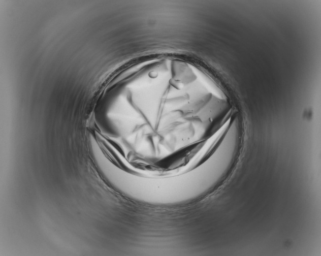 X0000112391169200909101404