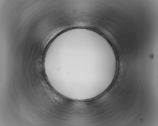 X0000112391170200909101404