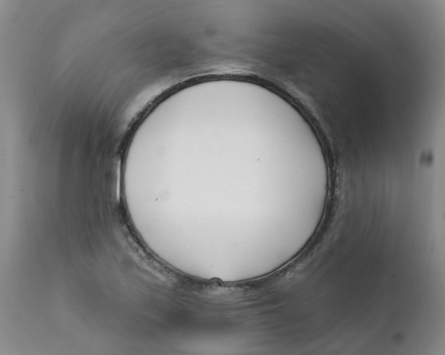 X0000112391171200909101404