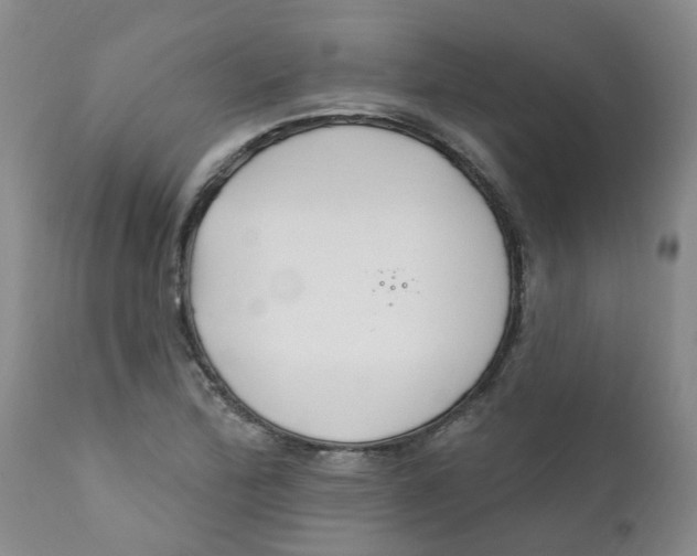 X0000112391172200909101404