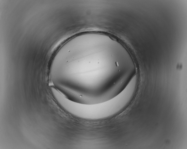 X0000112391173200909101404
