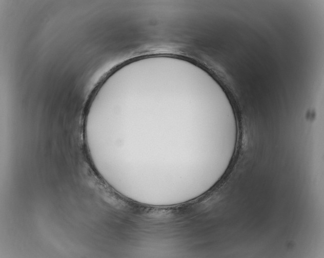X0000112391174200909101404