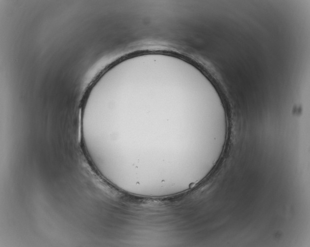 X0000112391175200909101404