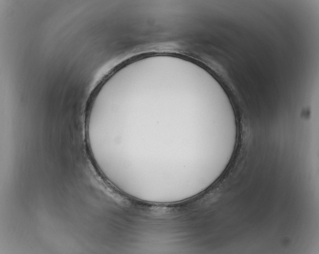 X0000112391176200909101404