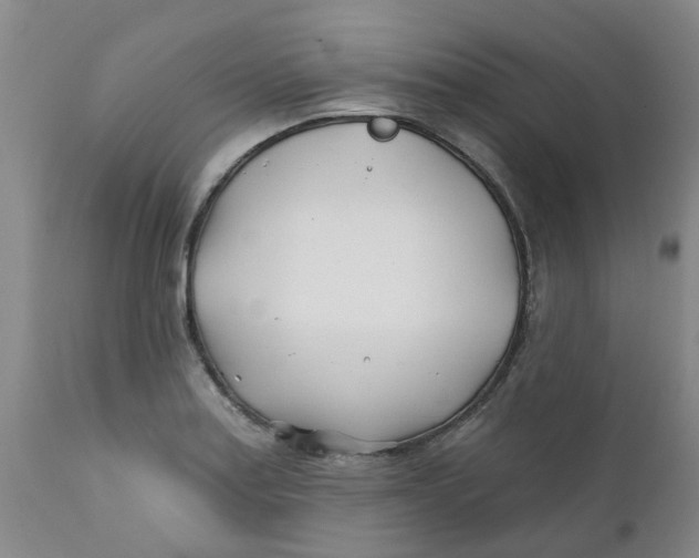 X0000112391179200909101404