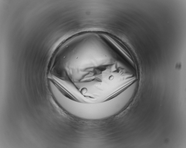 X0000112391181200909101403