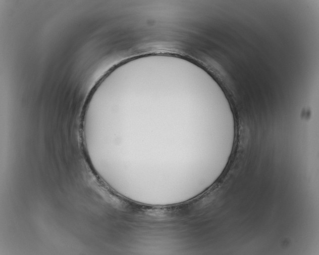 X0000112391182200909101403