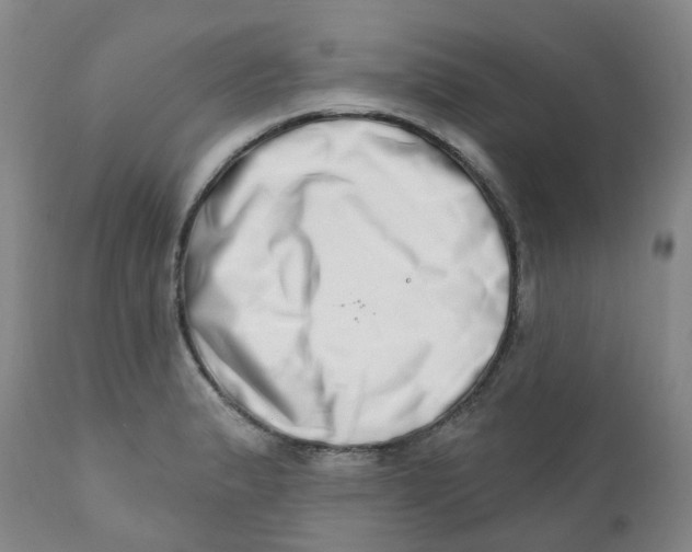 X0000112391183200909101403