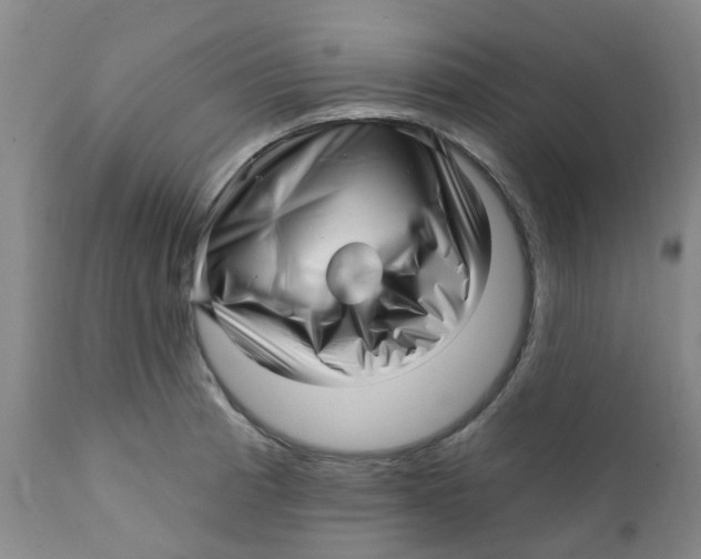 X0000112391185200909101403