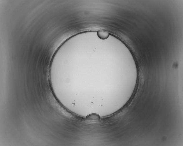 X0000112391186200909101403