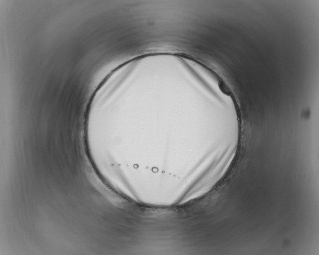 X0000112391187200909101403