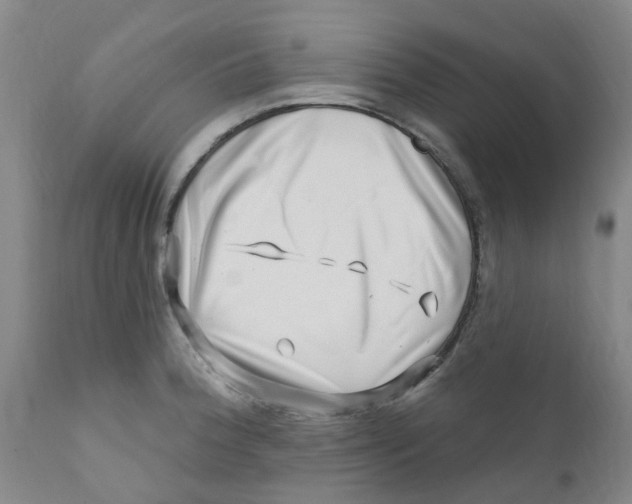 X0000112391188200909101403
