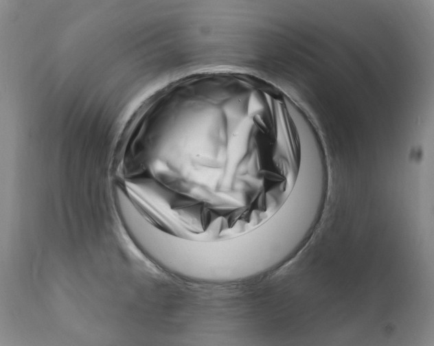 X0000112391189200909101403