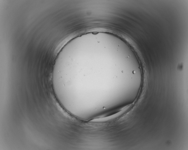 X0000112391193200909101403