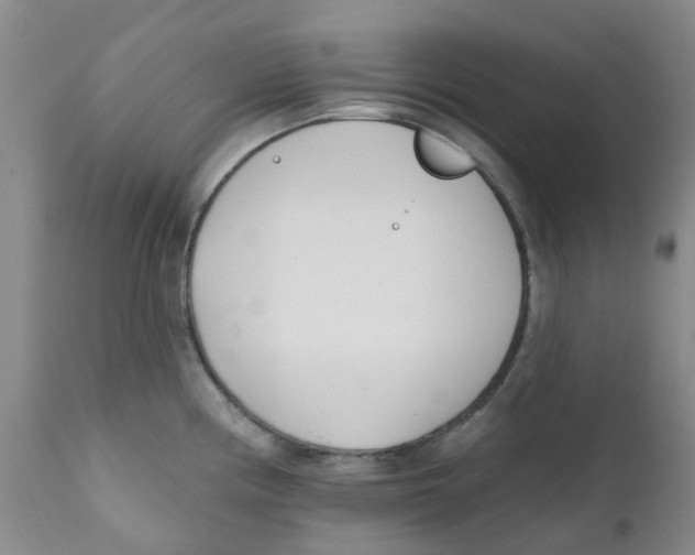 X0000112391194200909101403