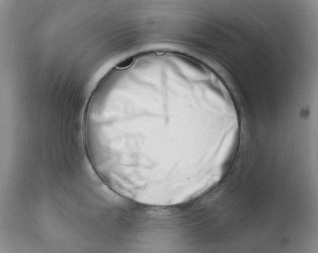 X0000112391199200909101403