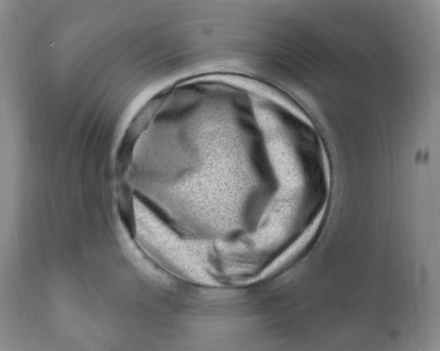 X0000112391200200909101403