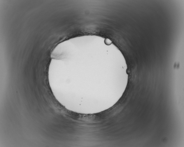 X0000112391201200909101402