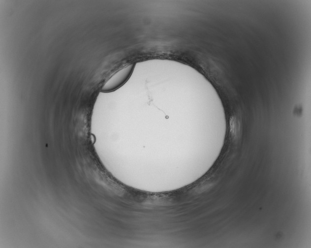 X0000112391203200909101402