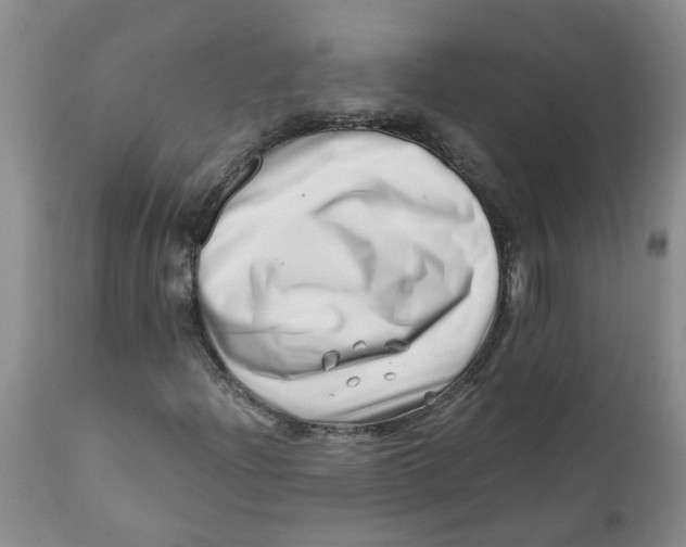 X0000112391204200909101402