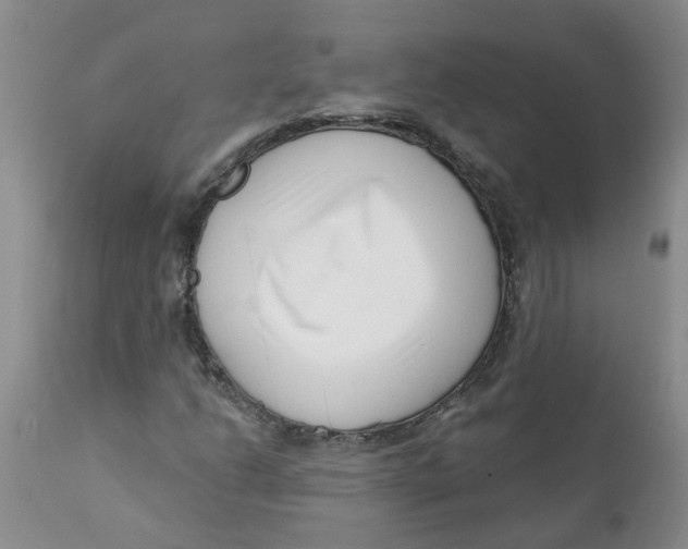 X0000112391206200909101402