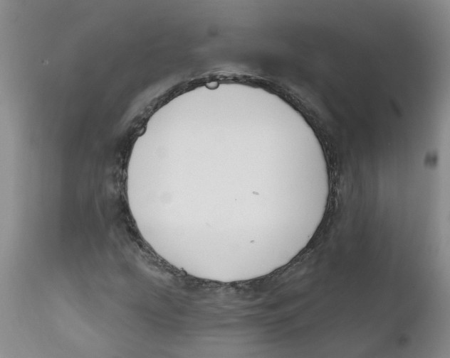 X0000112391207200909101402