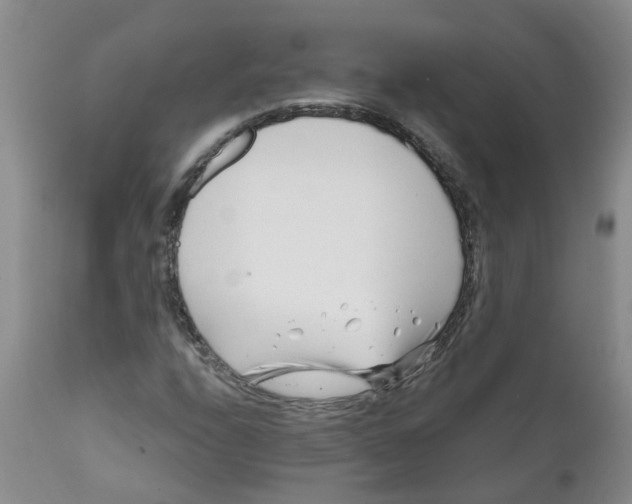 X0000112391208200909101402