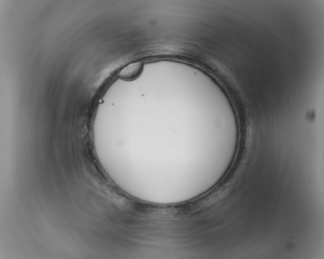 X0000112391210200909101402