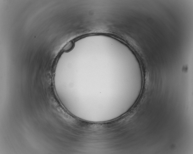 X0000112391212200909101402