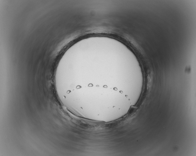 X0000112391213200909101403