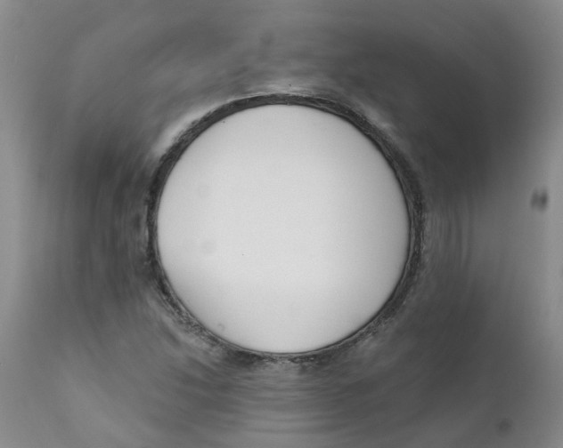 X0000112391214200909101403