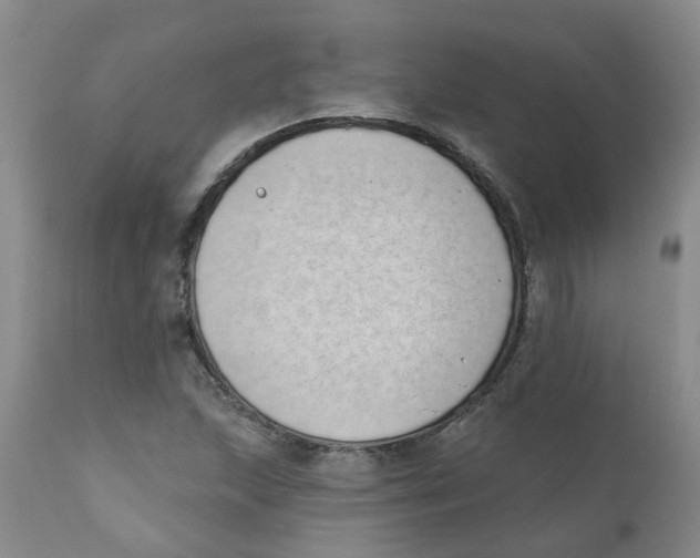 X0000112391215200909101403