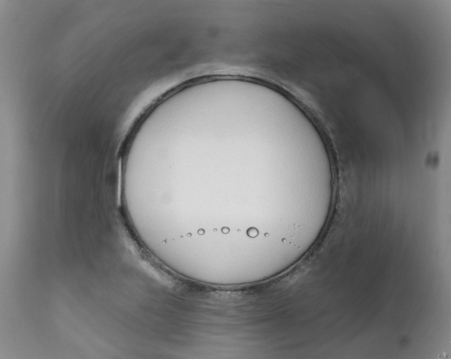 X0000112391223200909101403