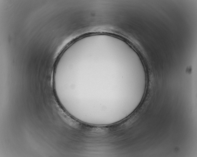 X0000112391224200909101403