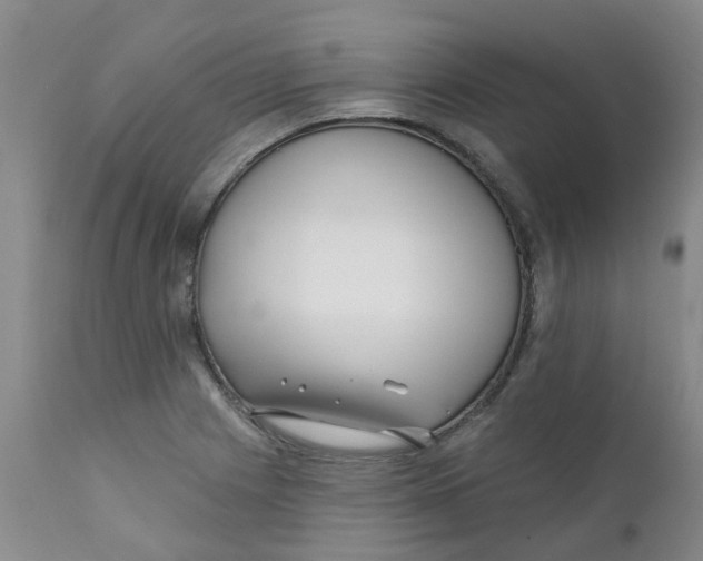 X0000112391225200909101403