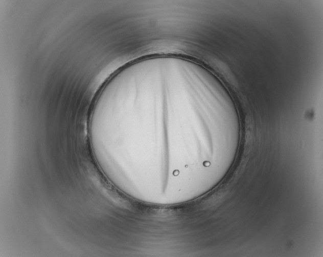 X0000112391226200909101403