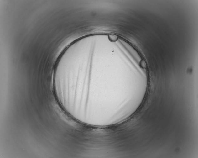 X0000112391227200909101403