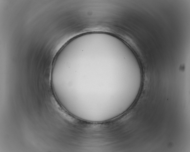 X0000112391228200909101403