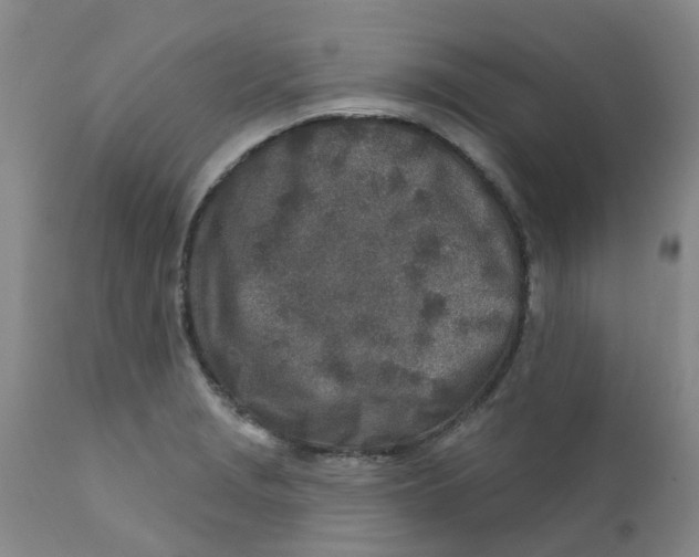 X0000112391229200909101403