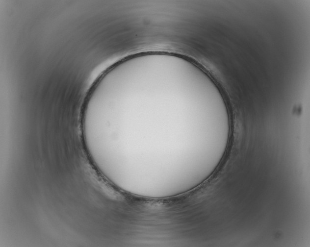 X0000112391230200909101403